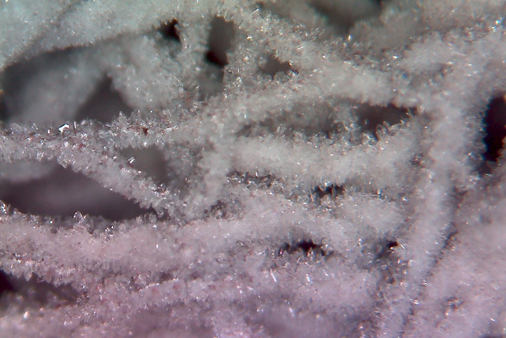 Aluminium-Faserstruktur mit aufkristallisiertem Zeolith.