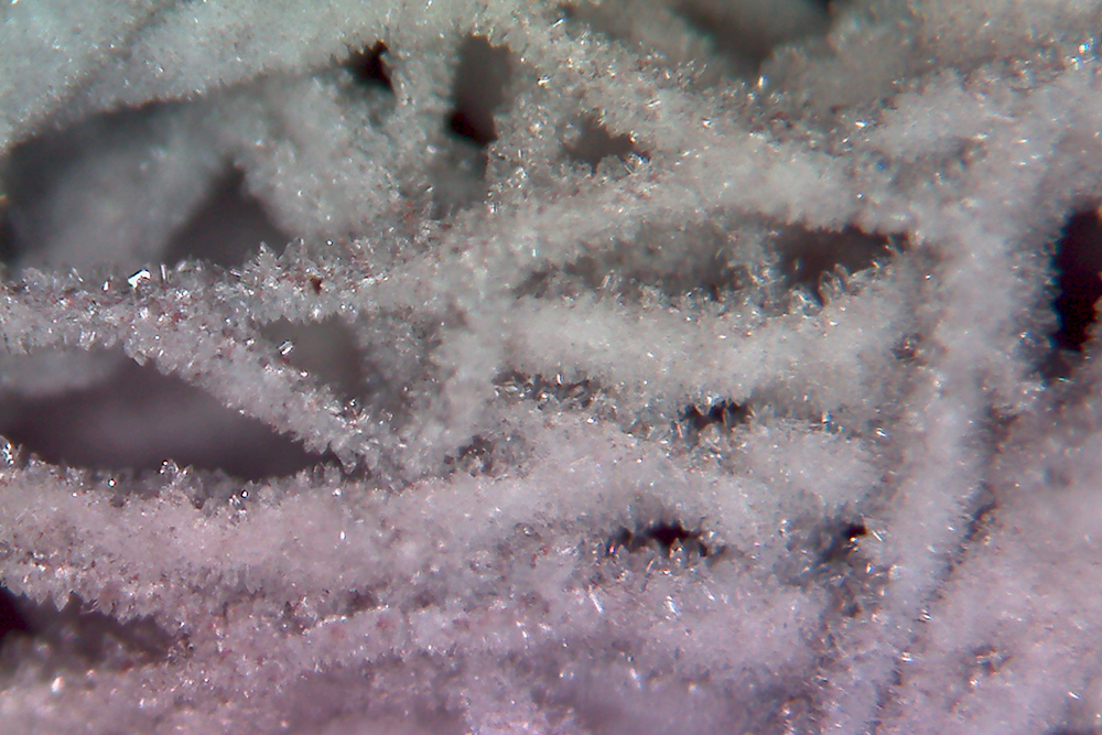 Aluminum fiber structure with crystallized zeolite.